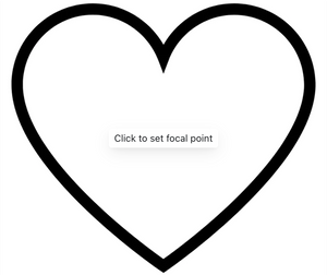 gid://shopify/MediaImage/31494503235804